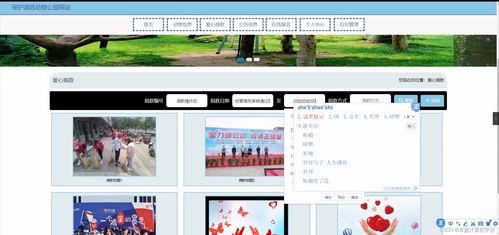 SpringBoot瀕危動物保護公益網站系統設計與實現
